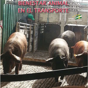 Curso Bienestar Animal en el Transporte
