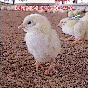 Curso Bienestar Animal en Explotaciones de Aves