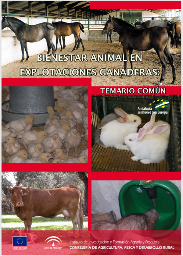Curso Bienestar Animal en Explotaciones de Aves - Imagen 2
