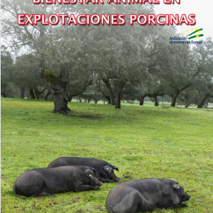 Curso Bienestar Animal en Explotaciones Porcinas