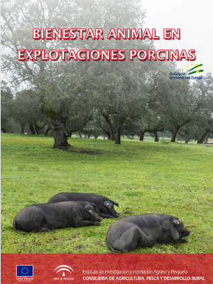 Curso Bienestar Animal en Explotaciones Porcinas
