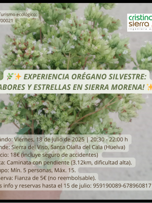 Experiencia Orégano Silvestre: ¡Sabores y Estrellas en Sierra Morena!