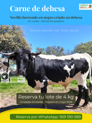 Gordito: Nº 6