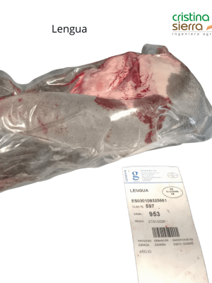 Lengua