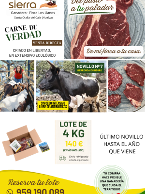 Lote de Carne del Gordito: Nº 7